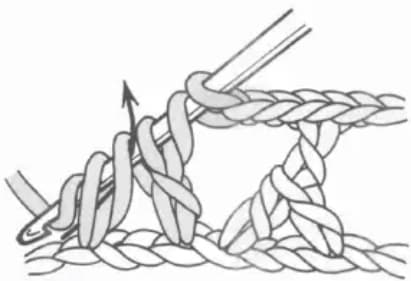Reverse Y Stitch Step 2: Pull through two loops